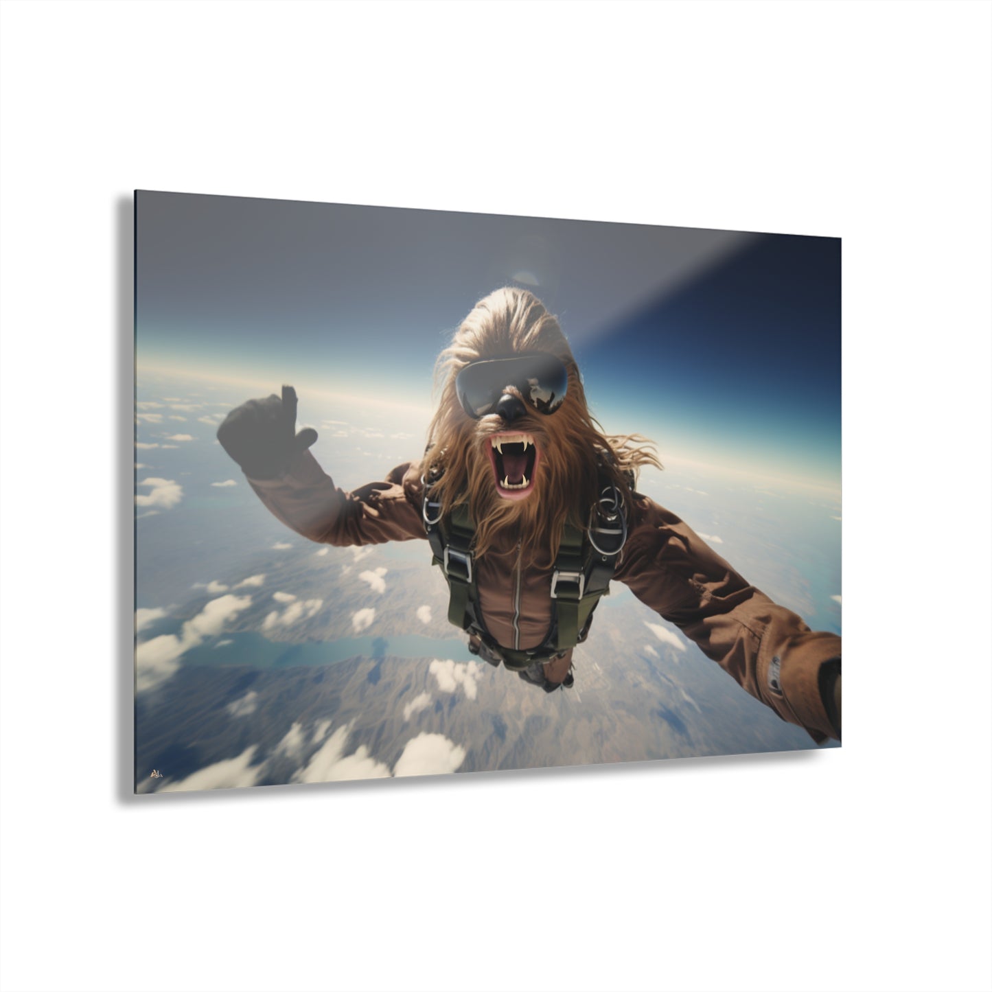 Sky Bacca, Pop Culture, Concept Style, Acrylic Wall Art