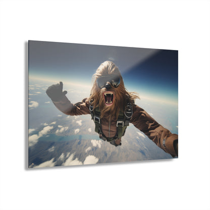 Sky Bacca, Pop Culture, Concept Style, Acrylic Wall Art