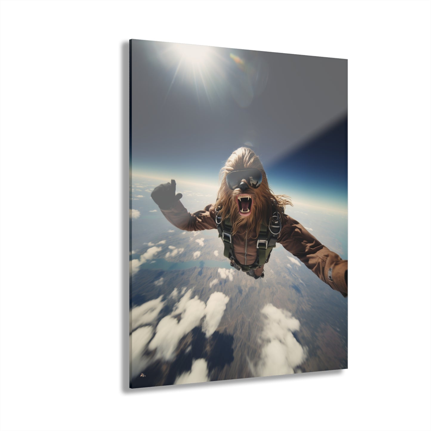 Sky Bacca, Pop Culture, Concept Style, Acrylic Wall Art