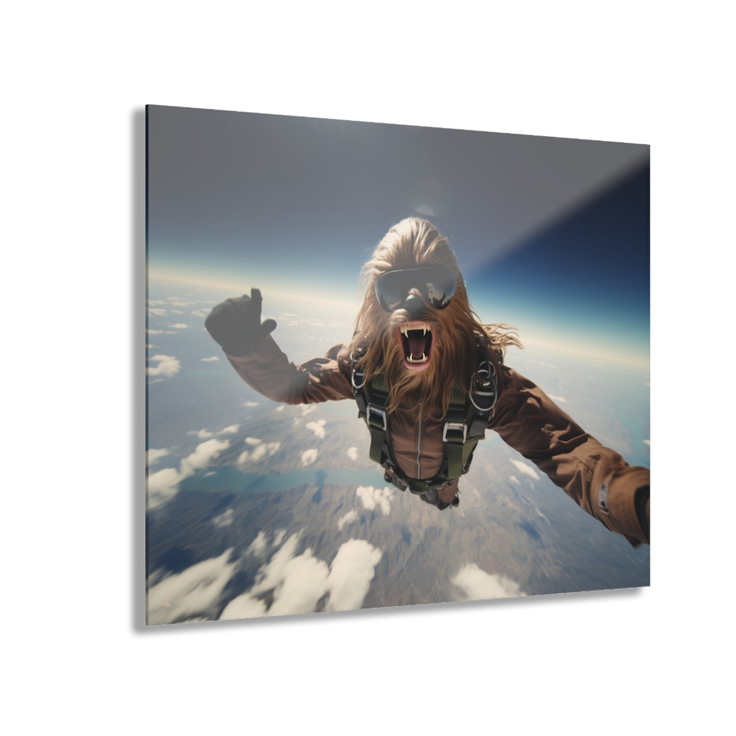 Sky Bacca, Pop Culture, Concept Style, Acrylic Wall Art