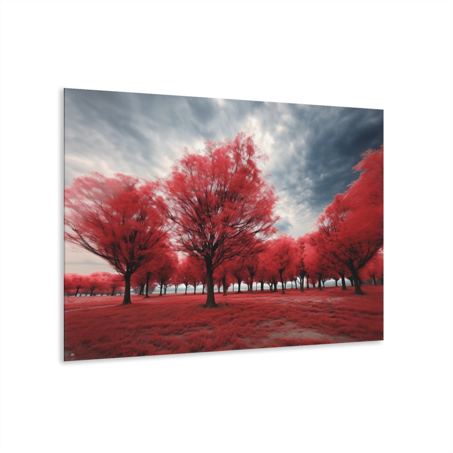 Red Bloom, Landscape, Concept, Acrylic Wall Art