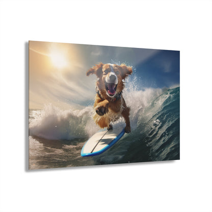 Surf's Pup, Animal Concept Style, Acrylic Wall Art