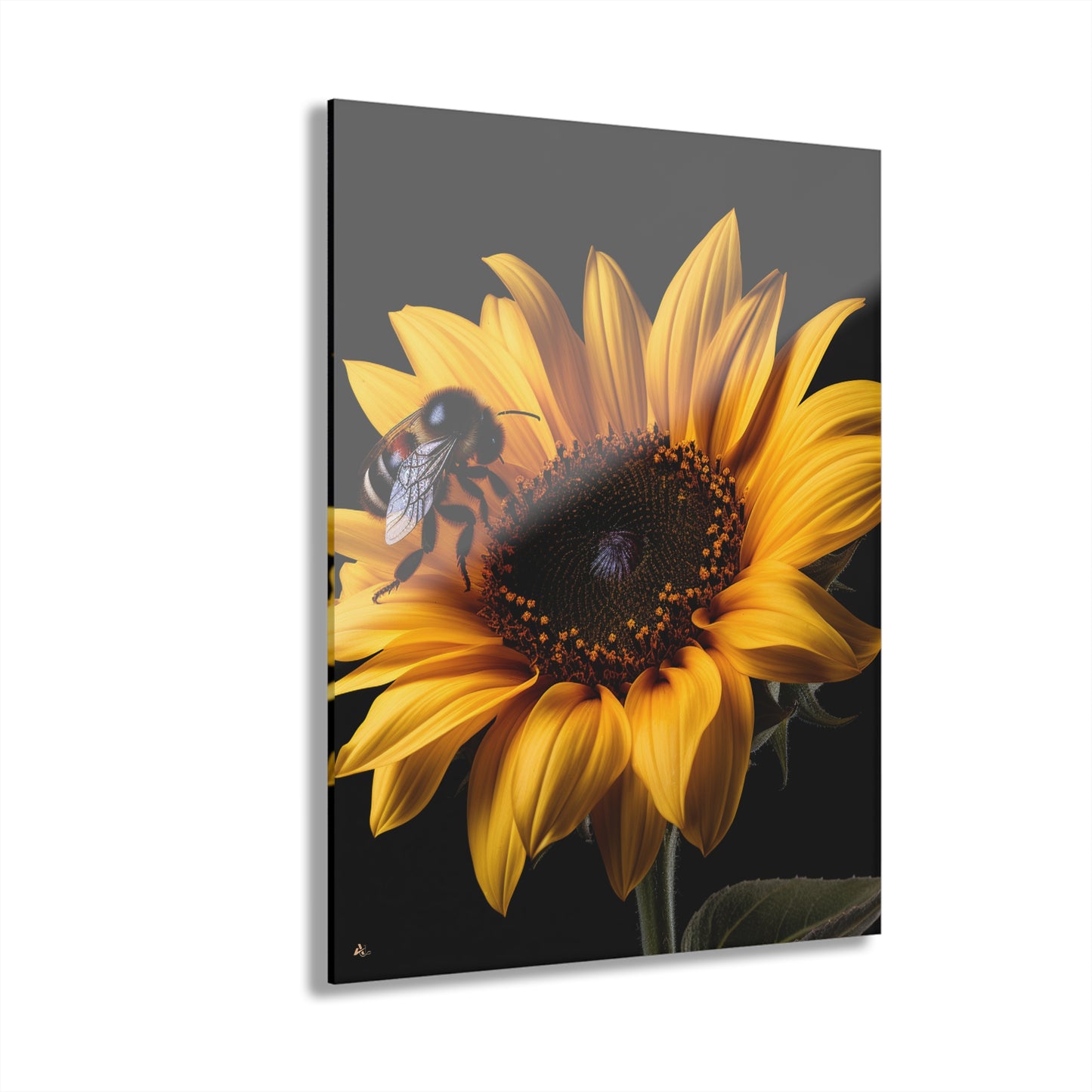 Bumblebee Sunflower, No Background Concept, Acrylic Wall Art