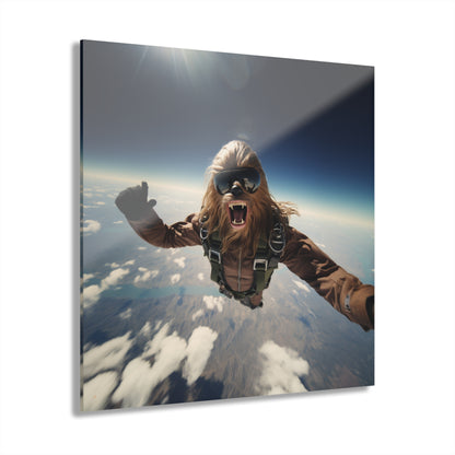 Sky Bacca, Pop Culture, Concept Style, Acrylic Wall Art