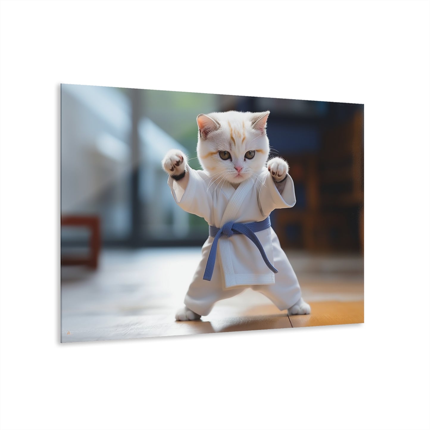 Karate Kitty, Animal Concept Style, Acrylic Wall Art