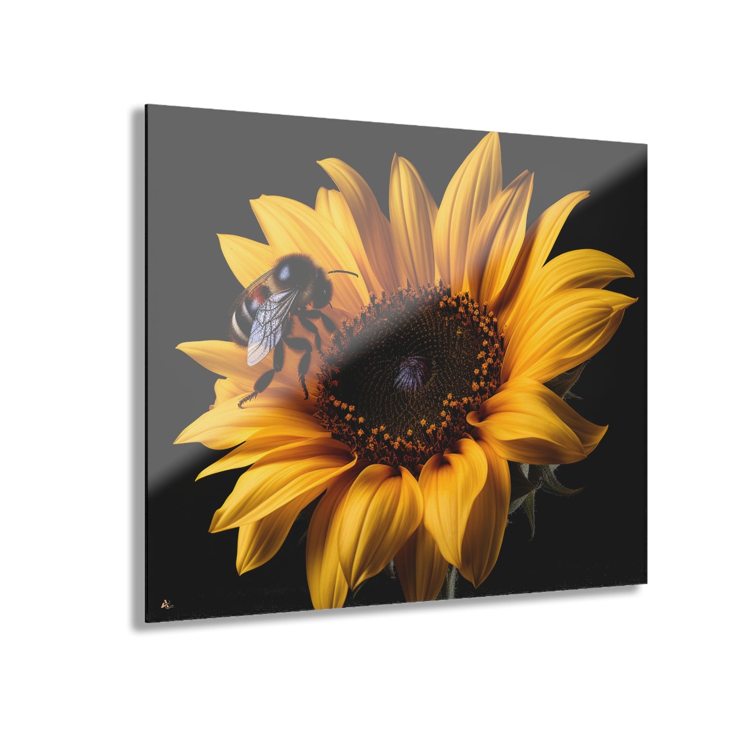 Bumblebee Sunflower, No Background Concept, Acrylic Wall Art