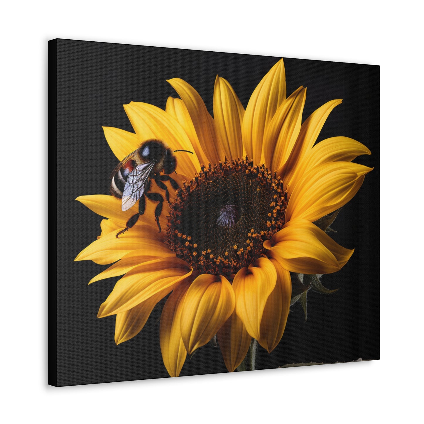 Bumblebee Sunflower Canvas Art