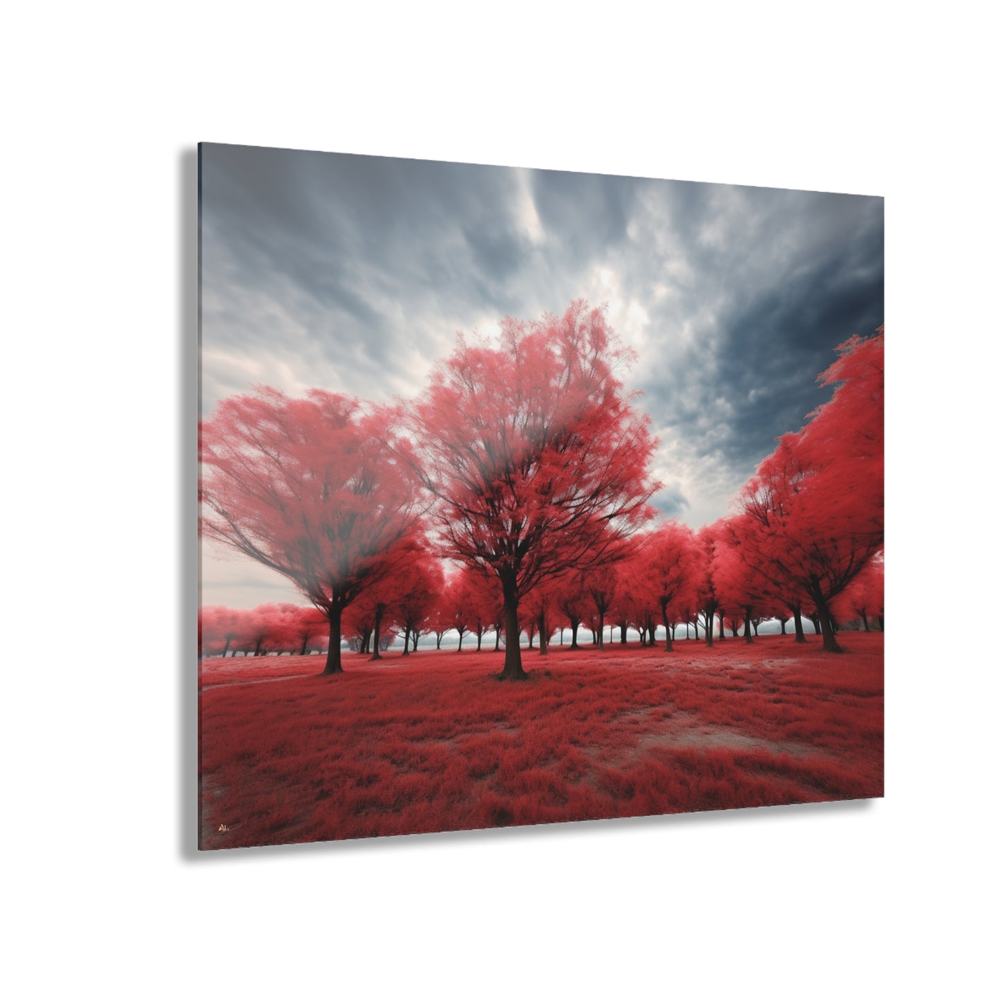 Red Bloom, Landscape, Concept, Acrylic Wall Art