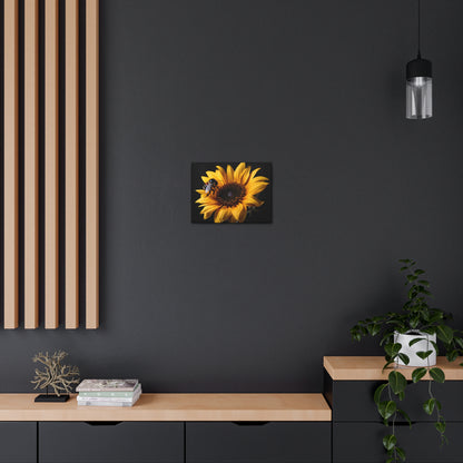 Bumblebee Sunflower Canvas Art