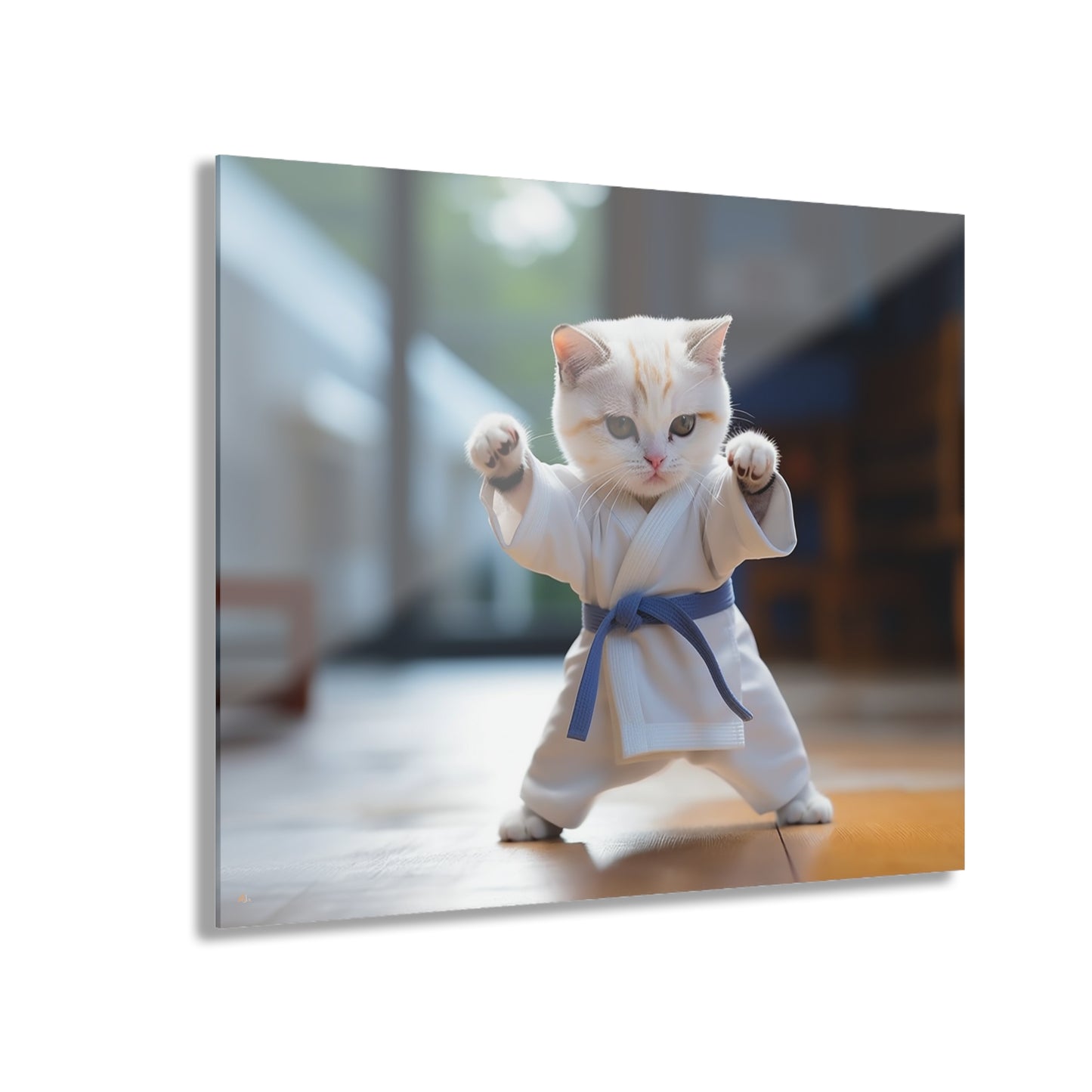 Karate Kitty, Animal Concept Style, Acrylic Wall Art