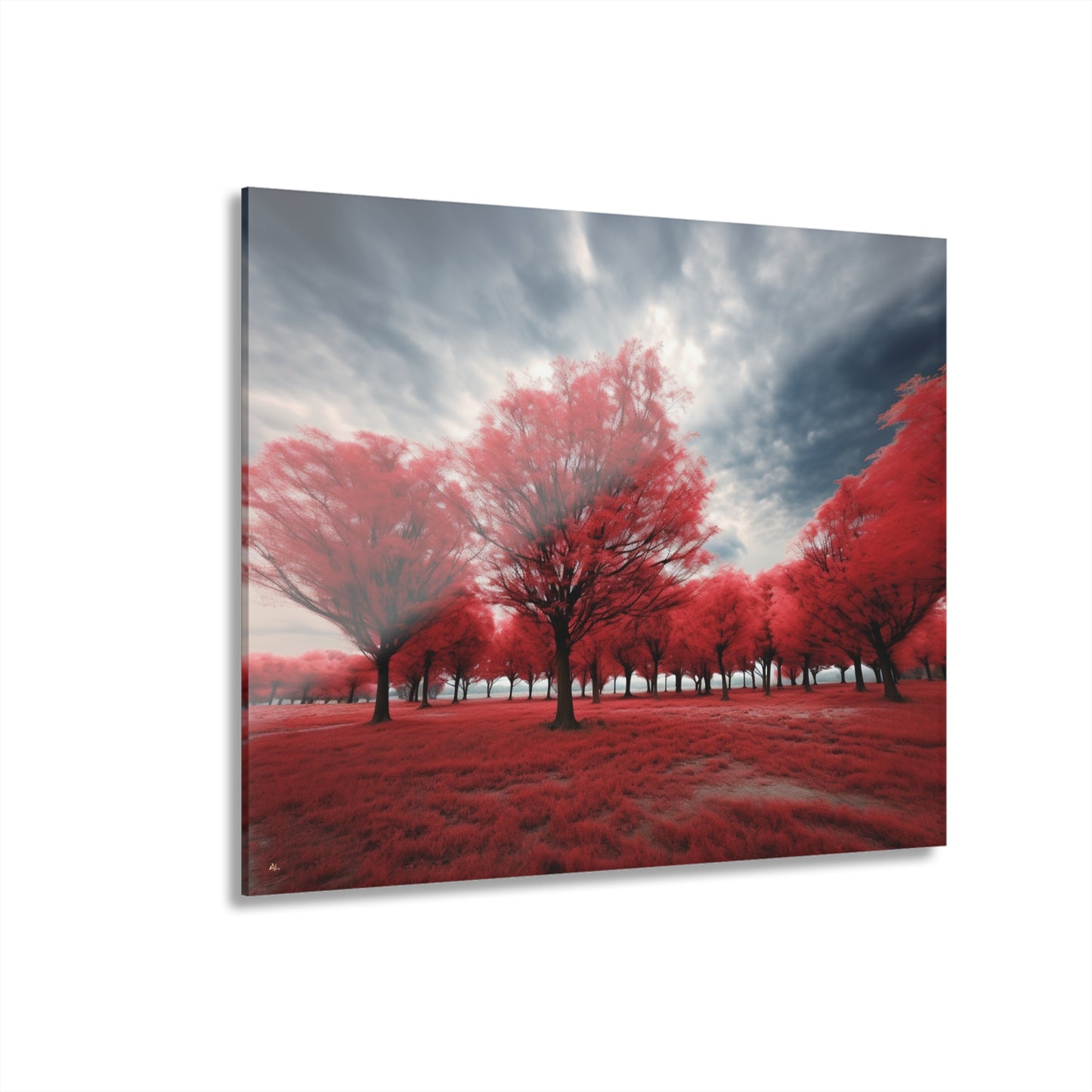 Red Bloom, Landscape, Concept, Acrylic Wall Art