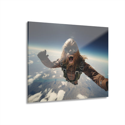 Sky Bacca, Pop Culture, Concept Style, Acrylic Wall Art